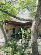 Pest megye - Dabas