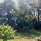 Pest megye - Dabas