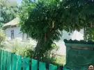 Pest megye - Dabas