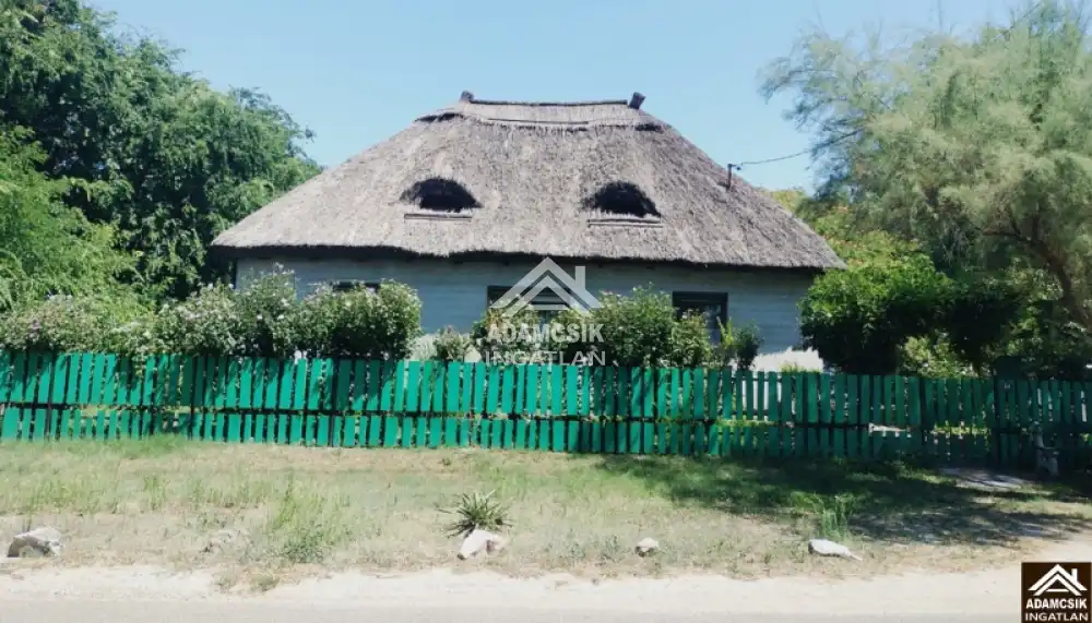Pest megye - Dabas