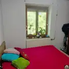 Pest megye - Dabas