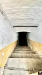 Pest megye - Dabas
