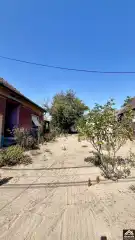 Pest megye - Dabas