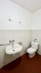 Pest megye - Dabas
