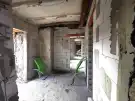 Pest megye - Dabas