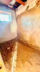 Pest megye - Dabas