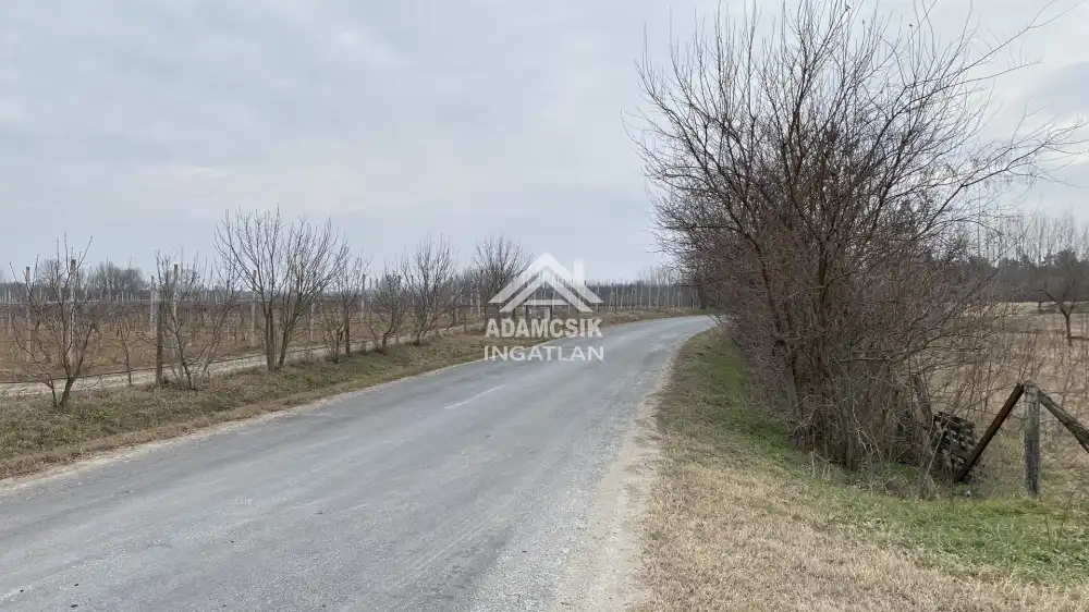 Pest megye - Dabas