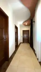 Pest megye - Dabas