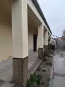 Pest megye - Dabas