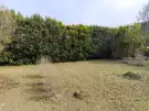 Pest megye - Dabas