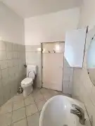 Pest megye - Dabas