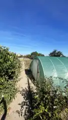 Pest megye - Dabas