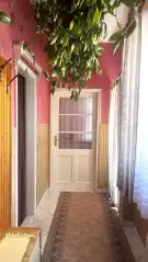 Pest megye - Dabas