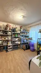 Pest megye - Dabas