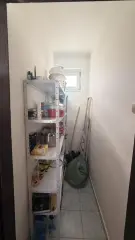 Pest megye - Dabas