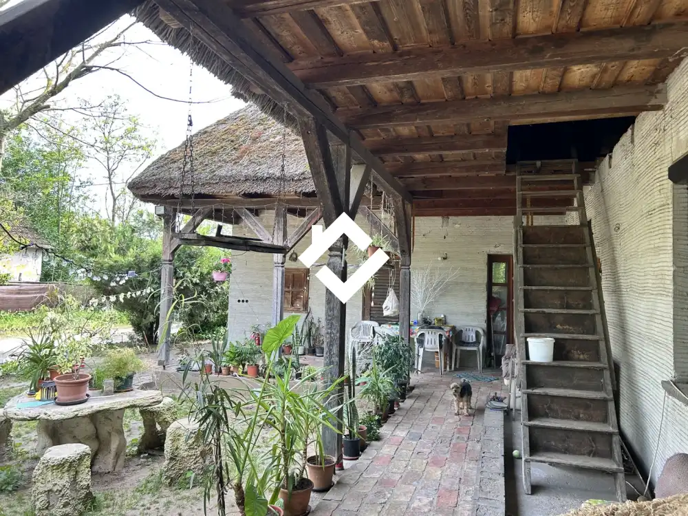 Pest megye - Dabas