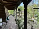 Pest megye - Dabas