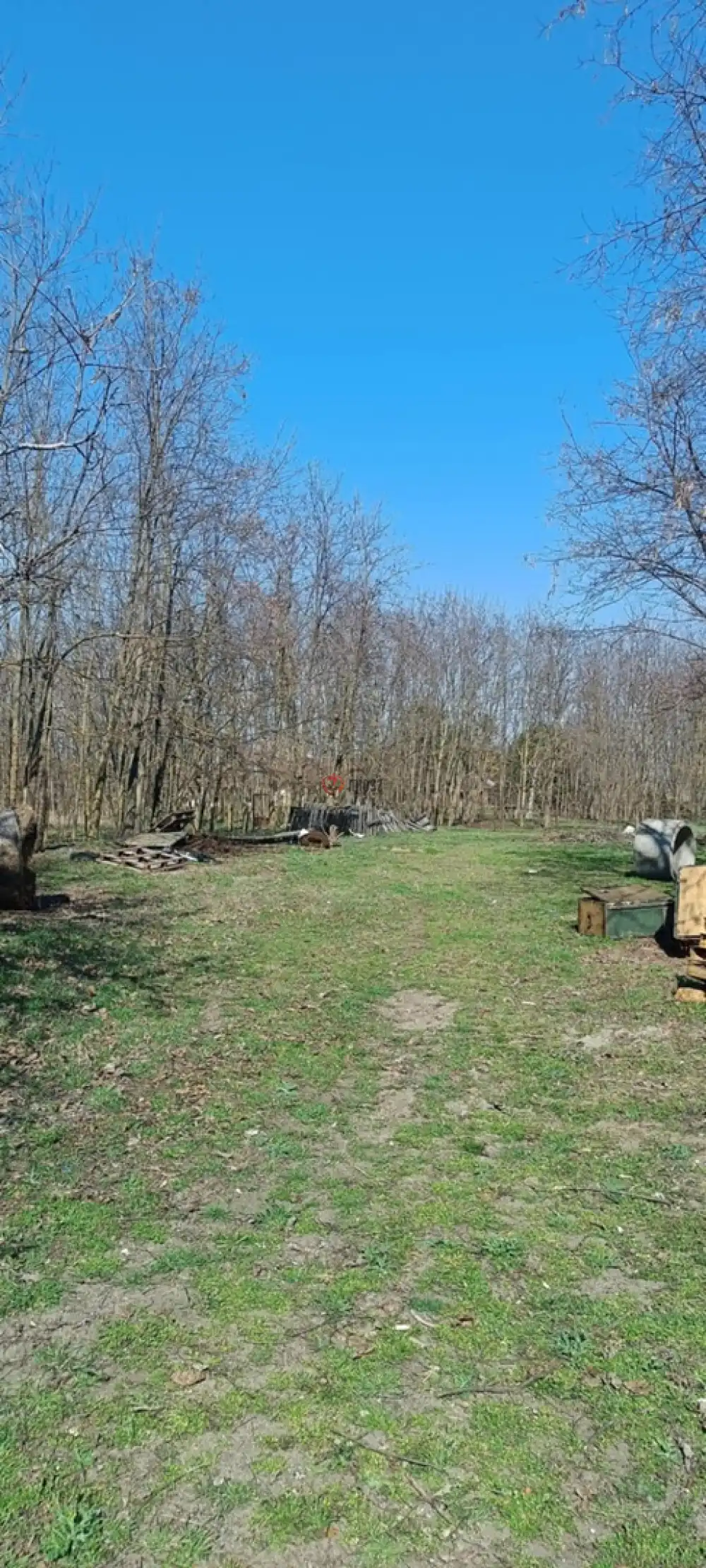 Pest megye - Dabasiszőlők
