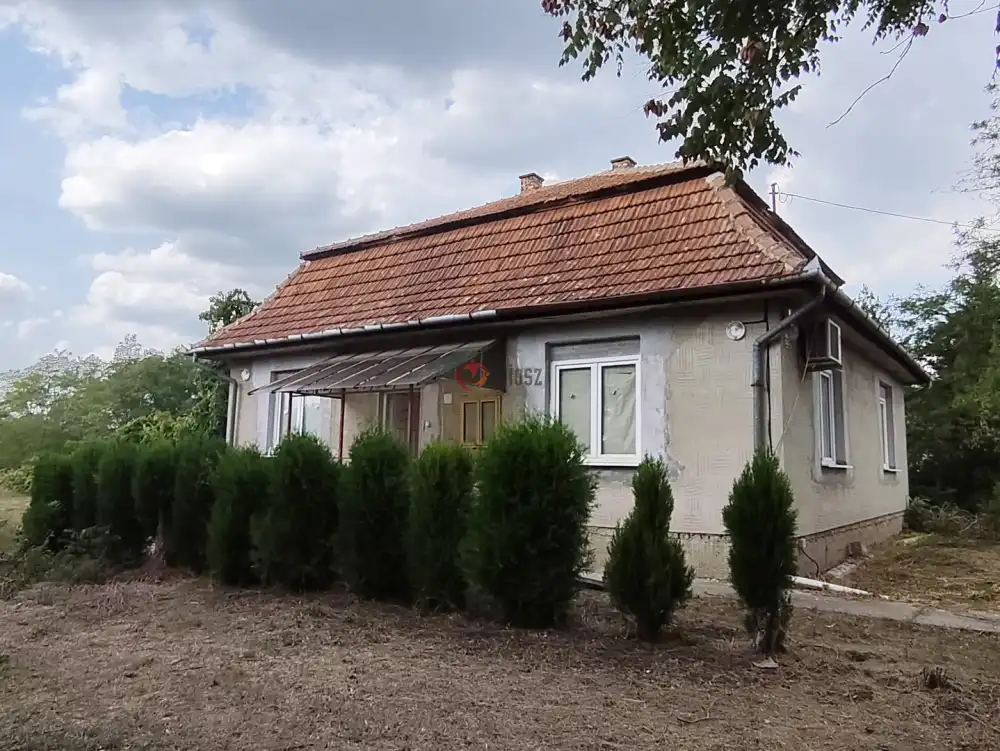 Pest megye - Dánszentmiklós