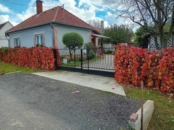 Eladó családi ház, Daraboshegy 3 szoba 85 m² 65.9 M Ft
