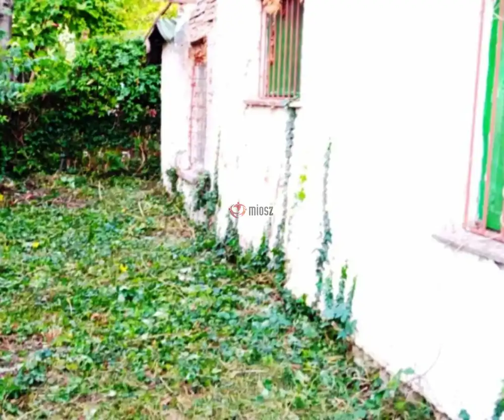 Pest megye - Délegyháza