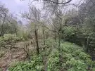 Nógrád megye - Diósjenő