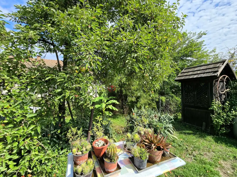 Nógrád megye - Diósjenő