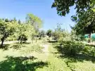 Nógrád megye - Drégelypalánk