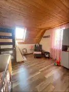 Fejér megye - Ercsi