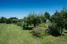 Pest megye - Érd