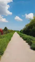 Pest megye - Érd