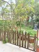 Pest megye - Erdőkertes