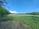 Baranya megye - Erzsébet