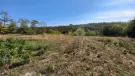 Fejér megye - Felcsút