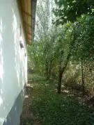 Veszprém megye - Felsőörs