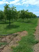 Zala megye - Garabonc