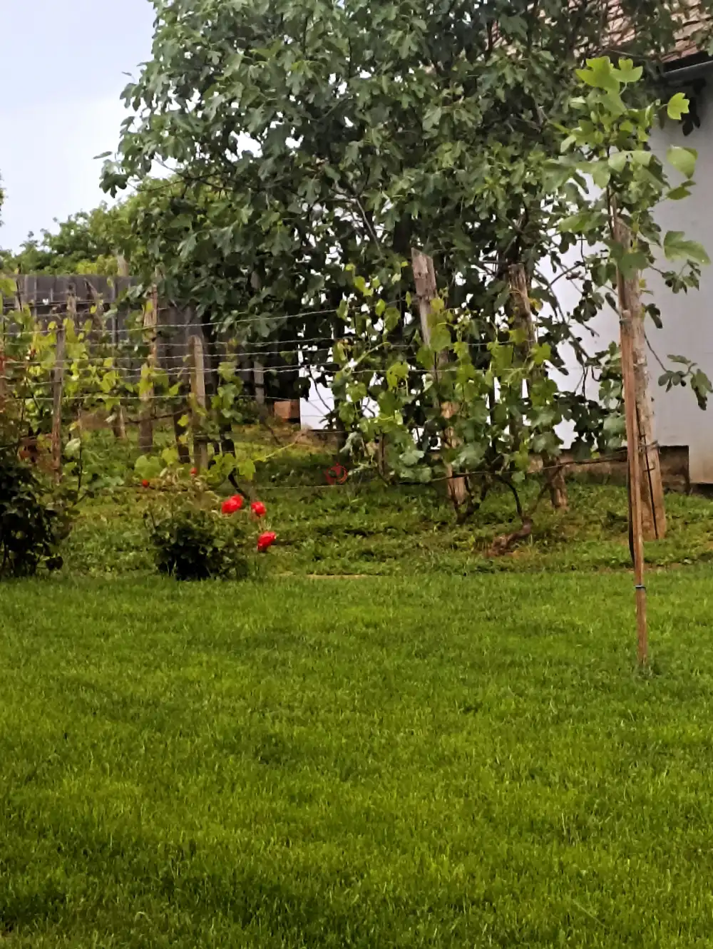 Baranya megye - Geresdlak