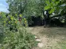 Pest megye - Gödöllő