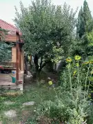 Pest megye - Gödöllő
