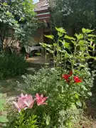 Pest megye - Gödöllő