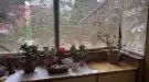 Pest megye - Gödöllő