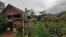 Borsod-Abaúj-Zemplén megye - Gönc