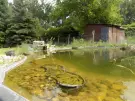 Győr-Moson-Sopron megye - Győrszentiván