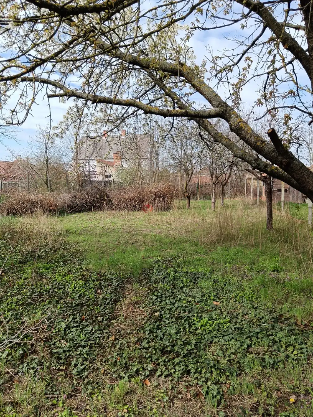 Békés megye - Gyula