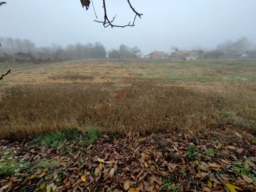 Baranya megye - Homorúd