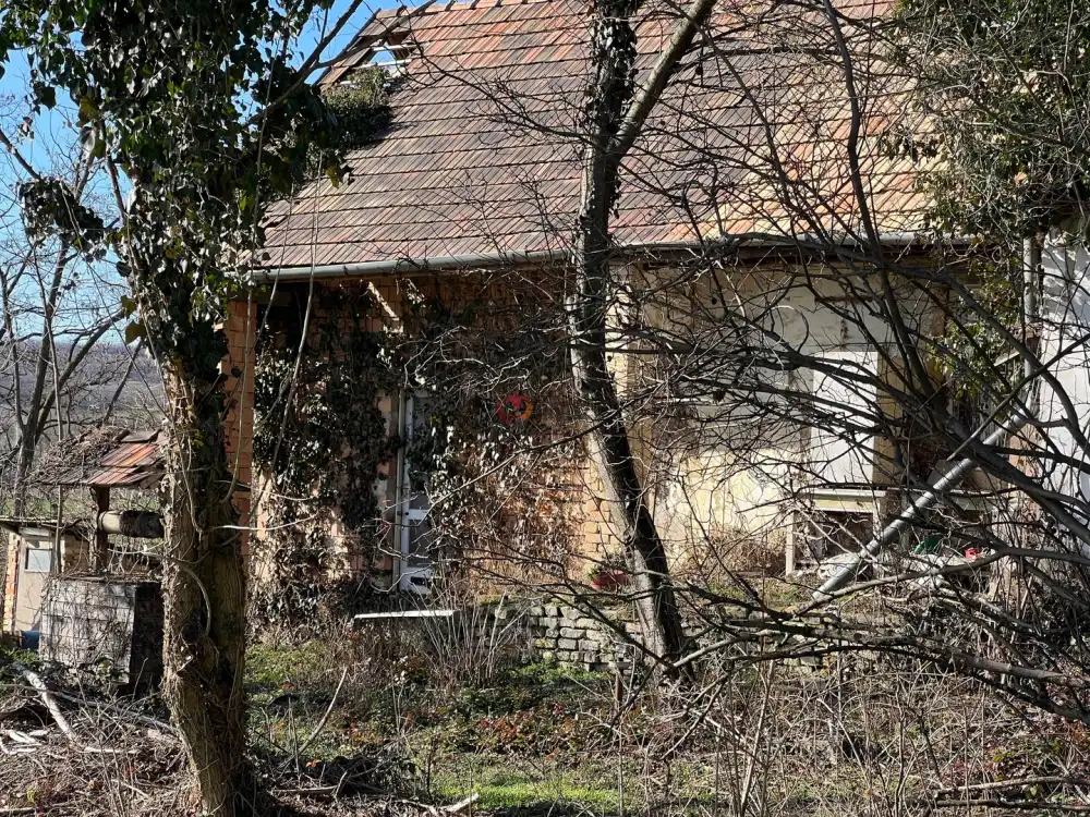 Fejér megye - Igar-Vámszőlőhegy