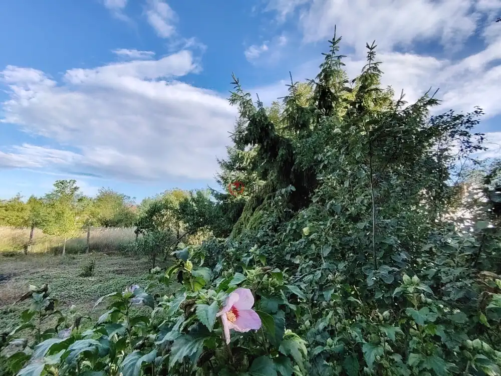 Nógrád megye - Ipolyvece