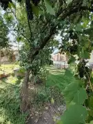 Nógrád megye - Ipolyvece