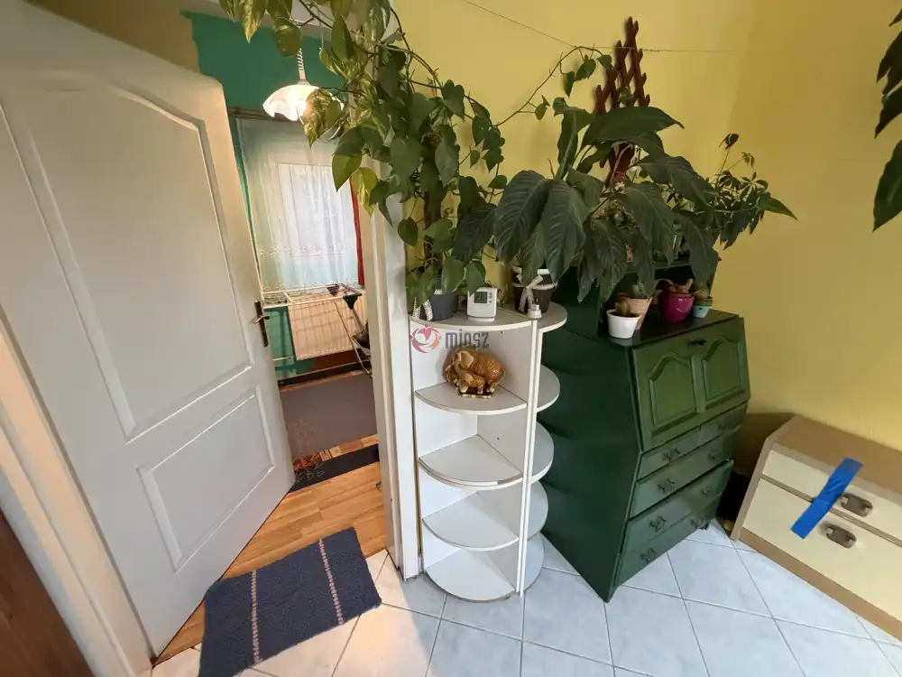 Zala megye - Kacorlak