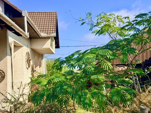 Eladó családi ház, Kecskéd 5 szoba 178 m² 88 M Ft